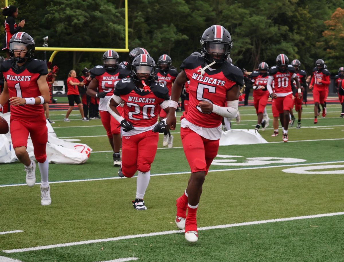 The Underdogs