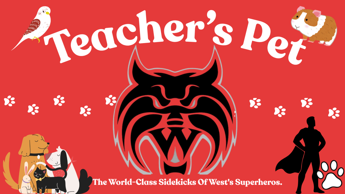 Teachers Pet